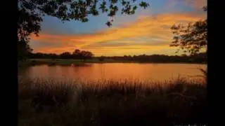 beautiful music. Нереально красиво.