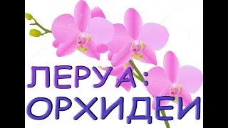 Леруа:ЗАВОЗ прекрасных ОРХИДЕЙ,29.07.21,ТЦ 