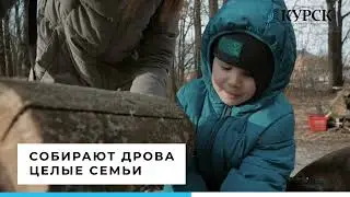 В Курске волонтёры собирают дрова для армии