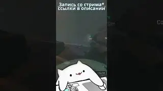 Жойълтый