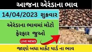 એરંડા ના આજના બજાર ભાવ | 14/04/2023 | Arenda na bhav | castor price today in gujarat