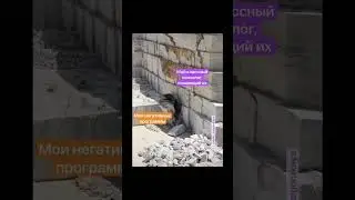 Перешлите, если ваш психолог КЛАССНЫЙ!🔥