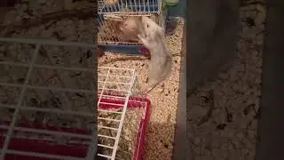 #выяснениеотношений1
