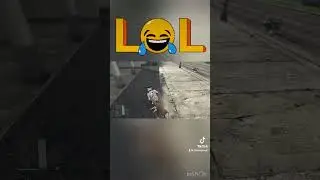 Npc’s Dog Tried To Kill Me In GTA 5 😂