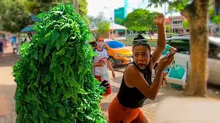 PEGADINHA - Homem Moita - Bushman Prank