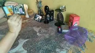 Ближайшее будущее Алёны Полынь.