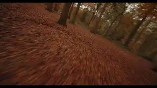 4 inch X8 Cinelifter whoop