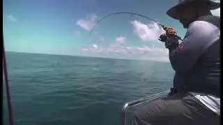 Ep 1: Kastking Sharky III 3000 VS Snapper / Unga