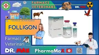 🐶 FOLLIGON Farmaco Veterinario a cosa serve ? - Foglietto Illustrativo Salute