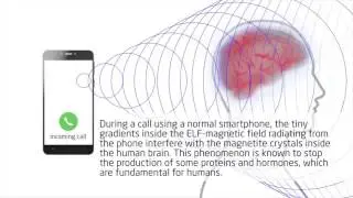BioZen