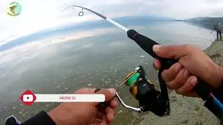The Magnificent Levkit Hunt part 2 | Iznik Levkit Hunt | Levkit Hunt | Kalama is on fire!!