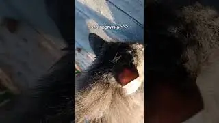 кхпххнхщхм