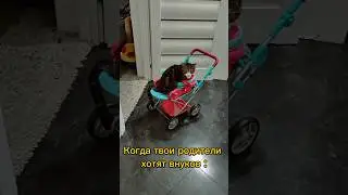 У кого также?😂 #коты #котики #домашниеживотные #юмор #дети #shorts