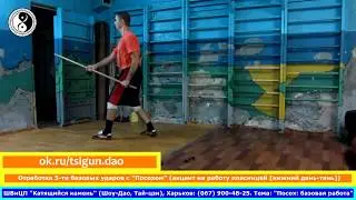 Посох, 5 базовых ударов: отработка с Посохом (