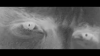 Descent - Christophe Calpini (official video)