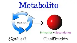 🌐 ¿Qué es un Metabolito? Y sus tipos: Primarios y Secundarios 🌐[Fácil y Rápido] | BIOLOGÍA | QUÍMICA