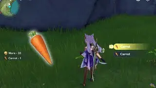 Carrot Location - Genshin Impact