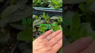 13 мая 2024 г.