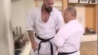 Мастер кунг-фу