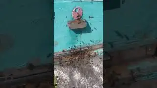 Облёт