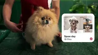 Transfurmation | It’s Possible | Pinterest