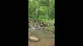 Garden Fountains