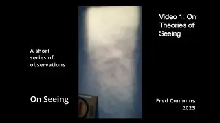 Introducing theories of vision: considerations from embodiment.
