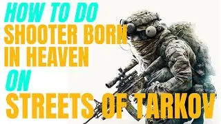 Two Shooter Born in Heaven Spots for STREETS OF TARKOV - Escape From Tarkov
