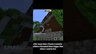 the story of the Vindicator part 2 #minecraftshorts #shorts #minecraft