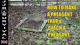 How To Make A Pheasant Trap & Catch A Pheasant