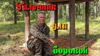 Построил галечник для боровой птицы