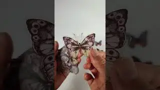 Butterfly Journaling STICKERS Haul | NEW Amazon Stickers for Journal/Bullet Journal 