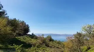 Çiçekler açsın..