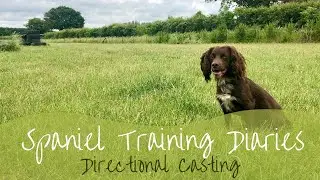 Gundog Training - Directional Casting