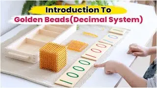 Introduction to Golden Beads | Decimal System #montessorimath #montessorimom #montessorihomeschool