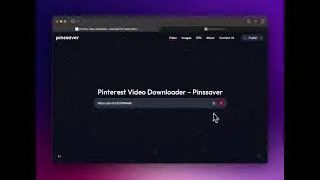 How to Download Pinterest Videos — Tutorial from PinsSaver