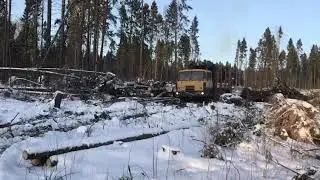 Tatra 8x8 лесовоз.