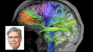 Brain Health & Fitness for Older Adults - OLLI Class #4