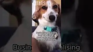 Memes for marketing? Couldn't be us..