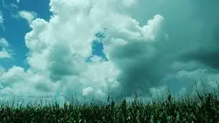 Clouds, Clouds, and some more Clouds  by  TC Videos, the Culpeppers