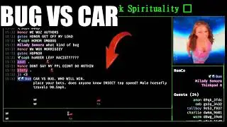 Bug vs Car