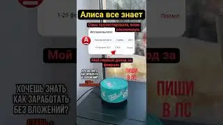 Алиса все знает!