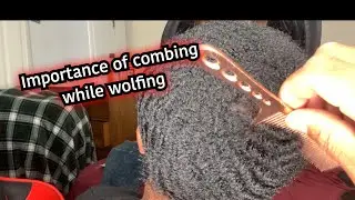 Importance of combing while wolfing #shorts