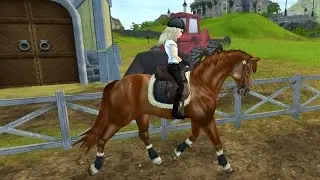 SSO - The new English Thoroughbred