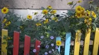 Осень особое время