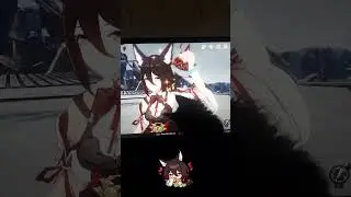 fox plays with kitty | Honkai Star Rail