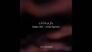 Коран 112 Сура 1-4 Аяты. Чтец: 🗣 Омар Хишам.