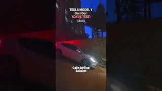 Tesla Model Y Reverse Hill Test!