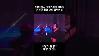 [BLACKPINK] 오케스트라 편곡, 쌩라이브, 때창..모든게 완벽한 블랙핑크 프랑스 공연
