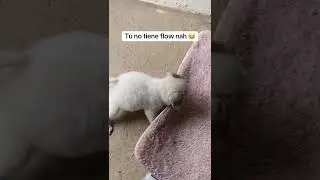 😂😂😂